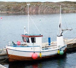 Solfisk (I) N-29-R 01 2001
